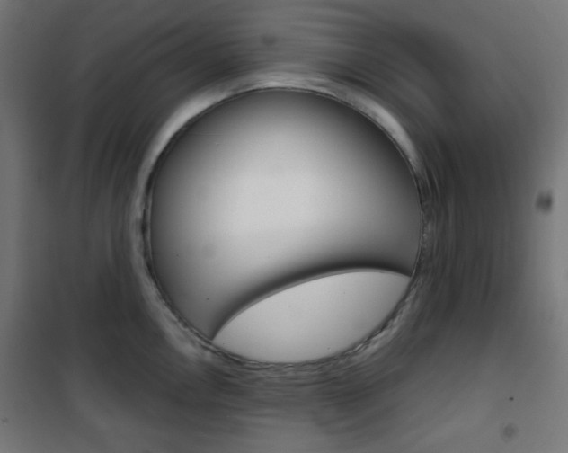 X0000101391146200807070959