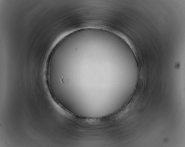 X0000101391147200807070959