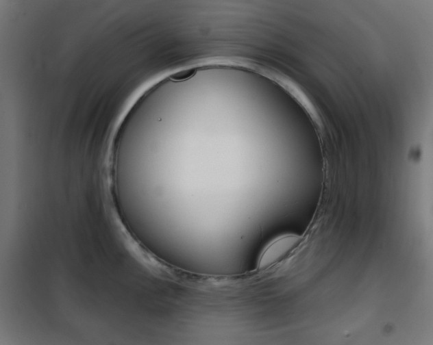 X0000101391148200807070959