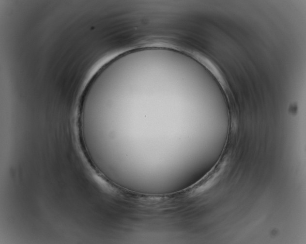 X0000101391149200807070959