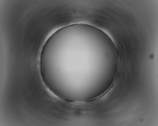 X0000101391151200807070959