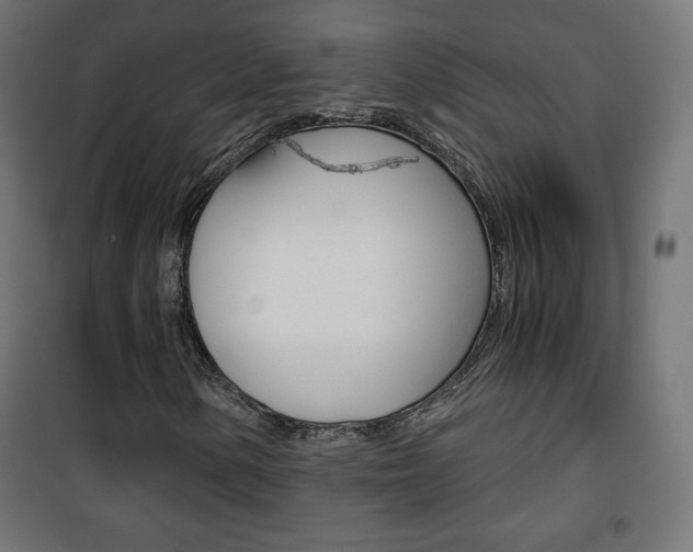 X0000101391154200807070958