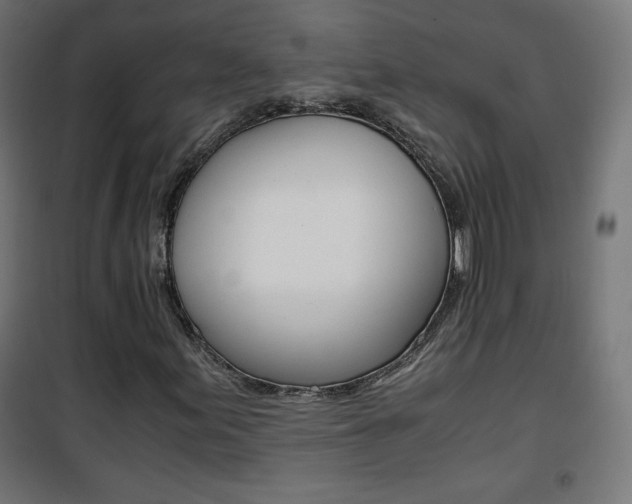 X0000101391155200807070958