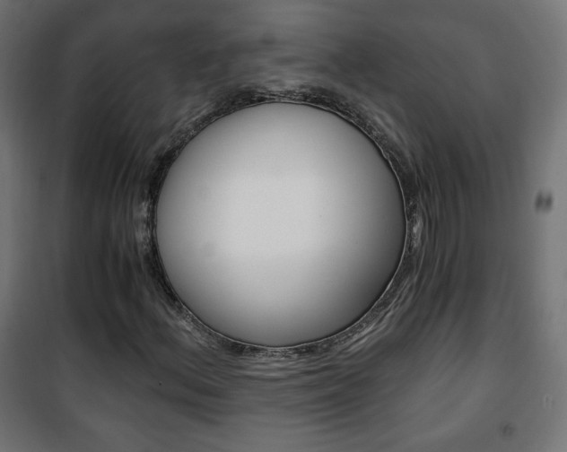 X0000101391156200807070958
