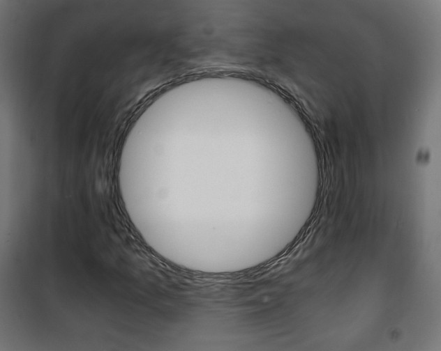 X0000101391157200807070958