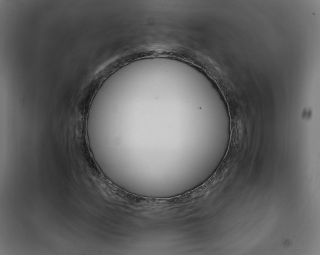 X0000101391158200807070958
