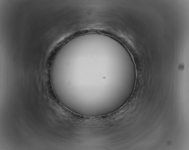 X0000101391159200807070958