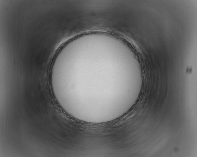 X0000101391160200807070958