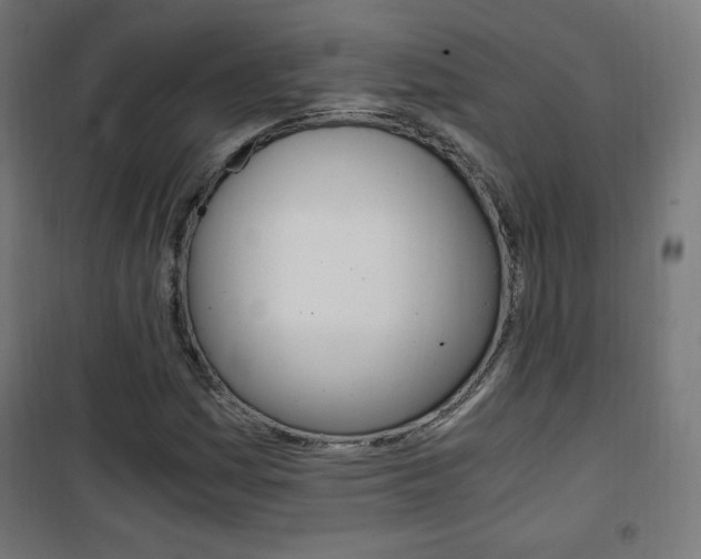X0000101391161200807070958