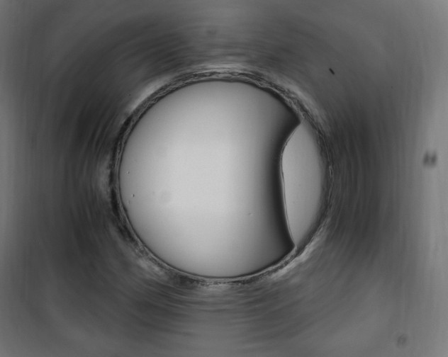 X0000101391162200807070958