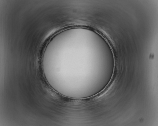 X0000101391163200807070958