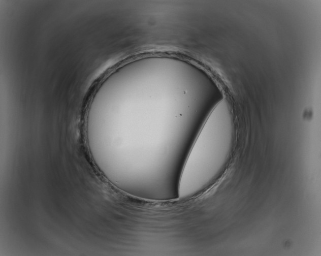 X0000101391165200807070958