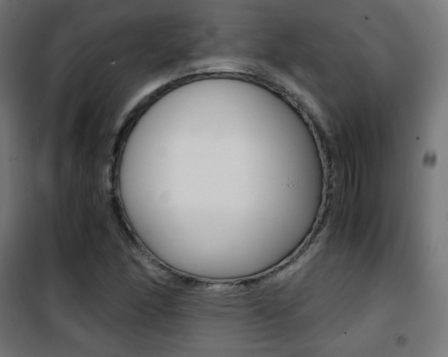 X0000101391166200807070958