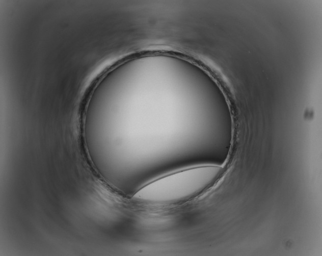X0000101391167200807070958