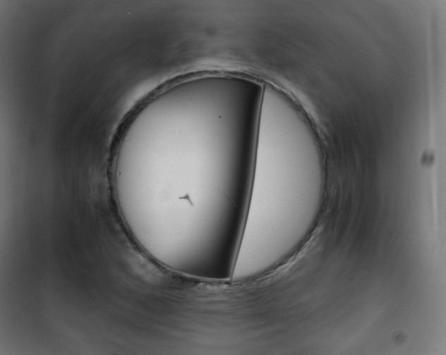 X0000101391168200807070958