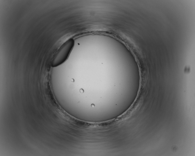 X0000101391169200807070958