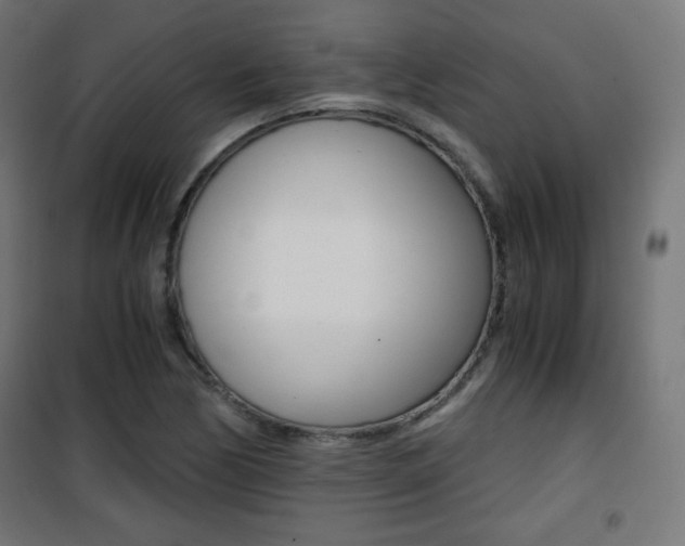 X0000101391170200807070958