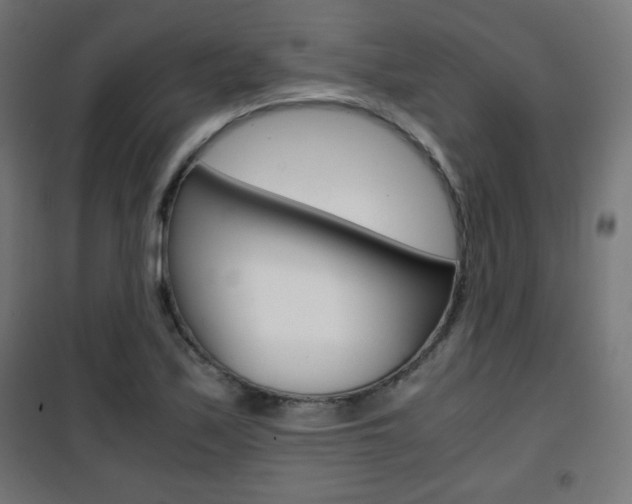 X0000101391171200807070958