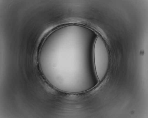 X0000101391172200807070958