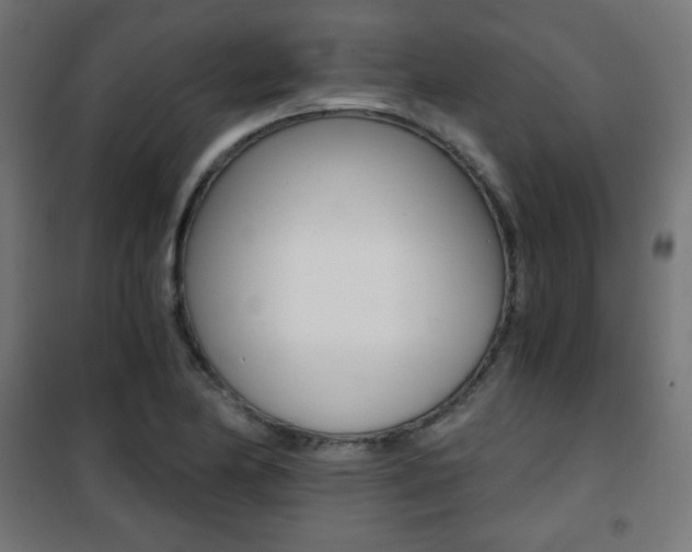 X0000101391174200807070958