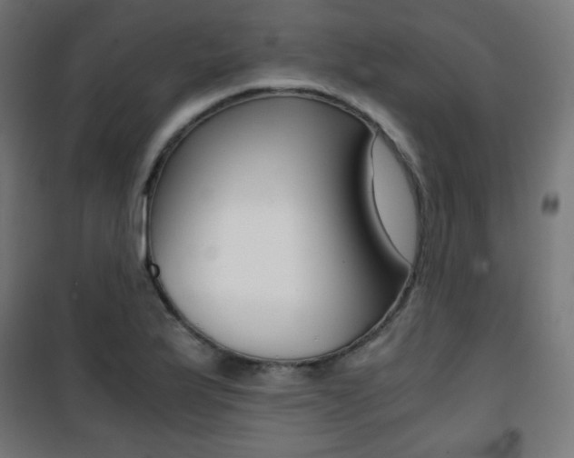 X0000101391175200807070958