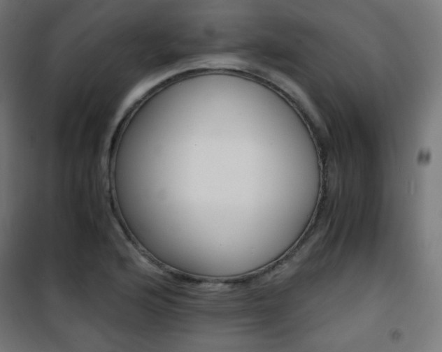 X0000101391176200807070958