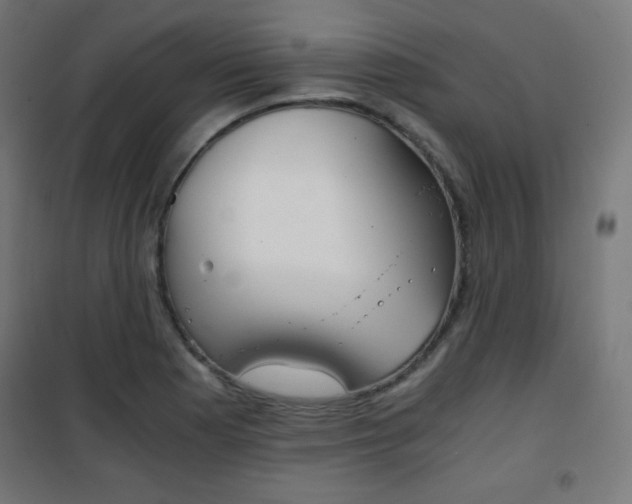 X0000101391177200807070958