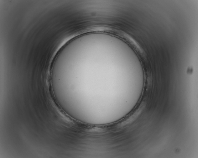 X0000101391178200807070958