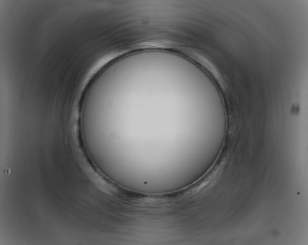 X0000101391179200807070958
