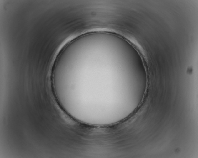 X0000101391181200807070958
