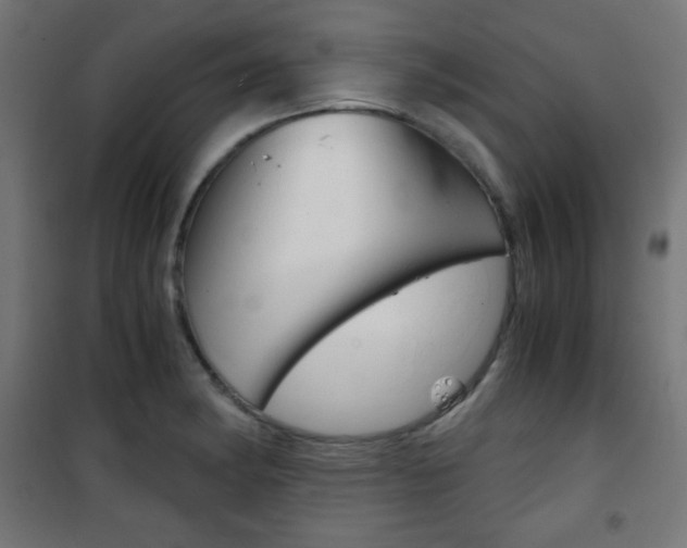 X0000101391182200807070958