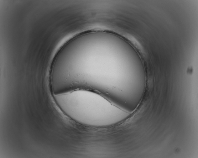 X0000101391183200807070958