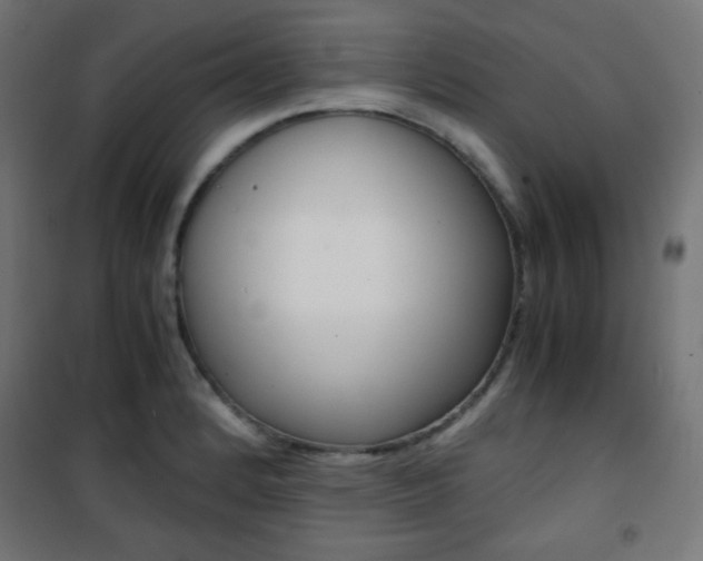 X0000101391184200807070958