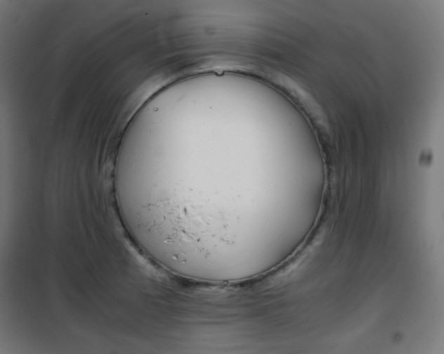 X0000101391185200807070958