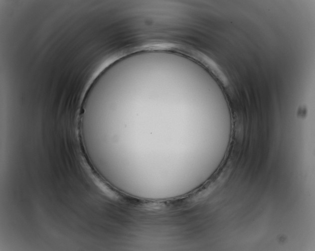 X0000101391186200807070958