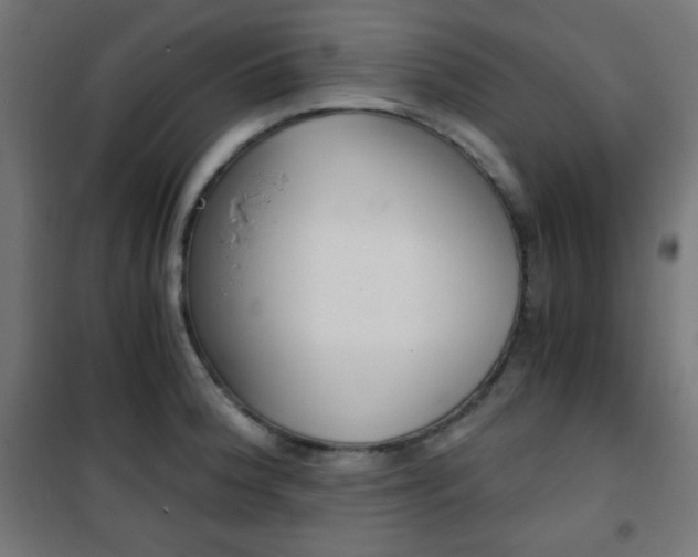 X0000101391188200807070958