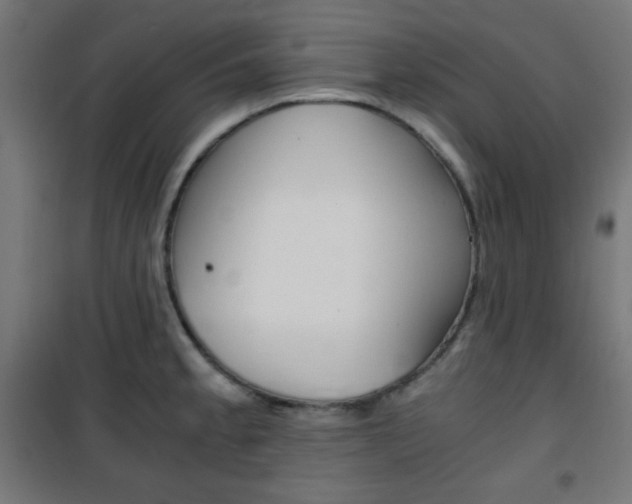X0000101391189200807070958