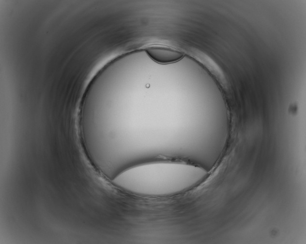 X0000101391190200807070957