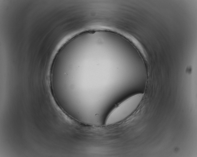 X0000101391191200807070957