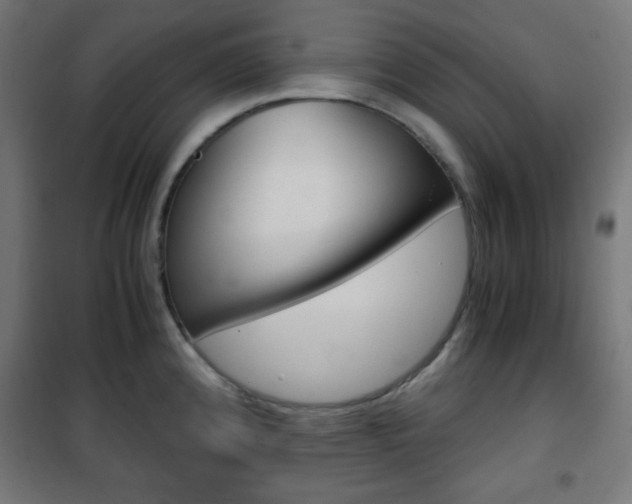 X0000101391192200807070957