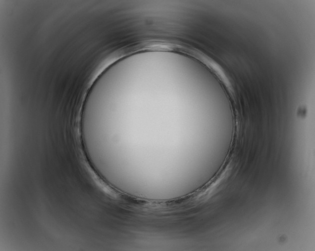 X0000101391194200807070957