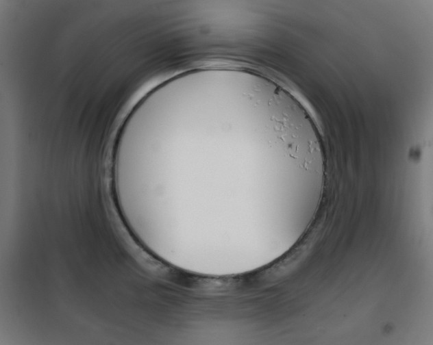 X0000101391195200807070957