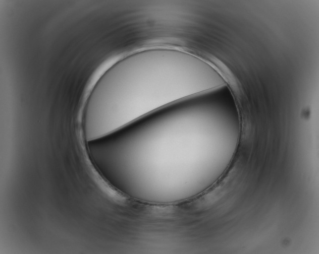 X0000101391196200807070957
