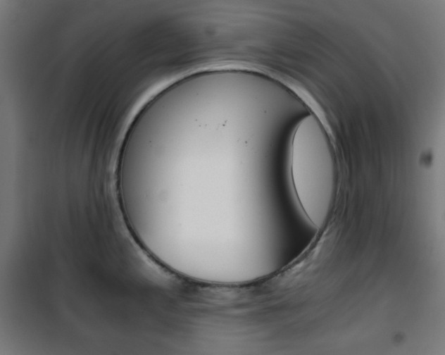 X0000101391197200807070957