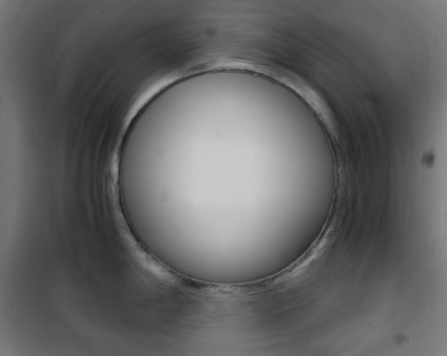 X0000101391198200807070957