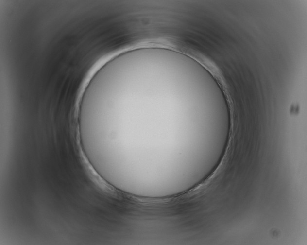 X0000101391200200807070957