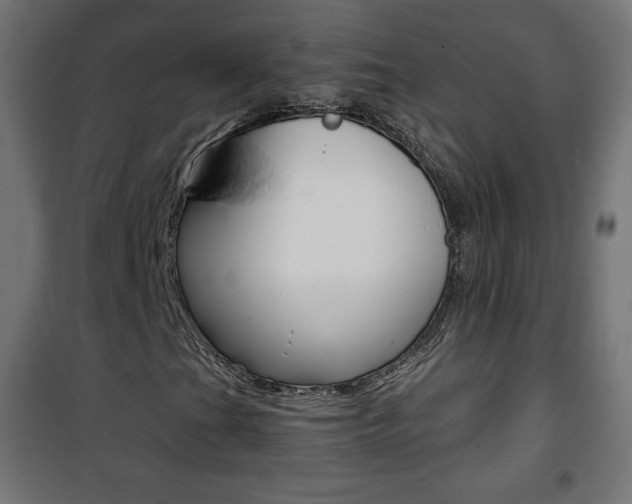 X0000101391201200807070957