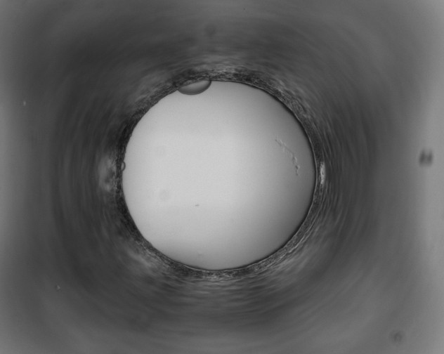 X0000101391203200807070957