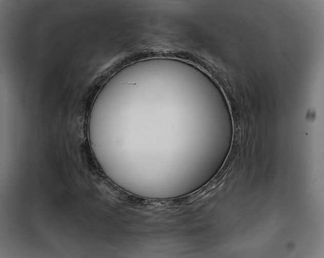 X0000101391205200807070957