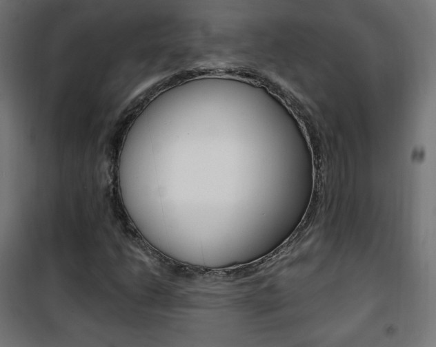 X0000101391206200807070957